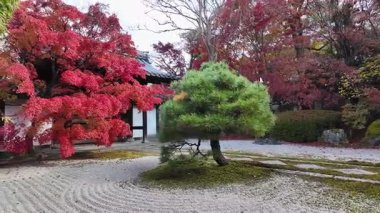 Nanzenji Kompleksi içinde Tenjuan Alt Tapınağı Bahçesi Kyoto 26 Ocak 2025