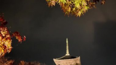 Shinsaibashi Alışveriş Bölgesi Osaka 'nın Canlı Perakende Çekirdeği 25 Kasım 2025