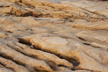 kayalık şek o, hong kong