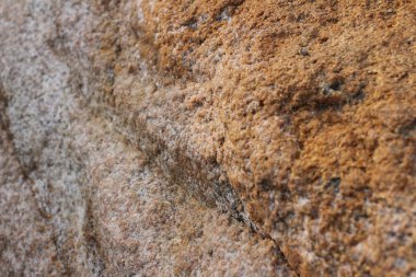 kayalık şek o, hong kong