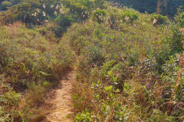 Yuen Tsuen Antik Patikası