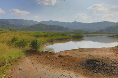 Plover koyu Country Park 