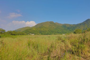 Plover koyu Country Park 