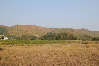 Plover koyu Country Park, Sam A Chung, hong kong