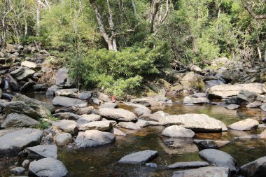 Plover koyu Country Park