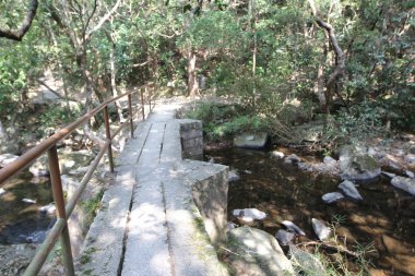 Plover koyu Country Park