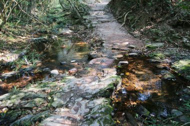 Plover koyu Country Park, Sam A Chung, hong kong