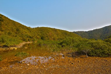 Plover koyu Country Park, Sam A Wan, hong kong
