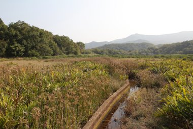 Plover koyu Country Park, Sam A Chung, hong kong