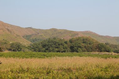 Plover koyu Country Park, Sam A Chung, hong kong