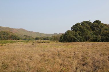 Plover koyu Country Park, Sam A Chung, hong kong