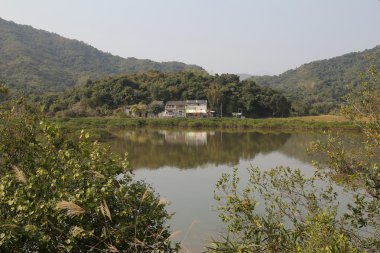 Plover koyu Country Park, Sam A Wan, hong kong