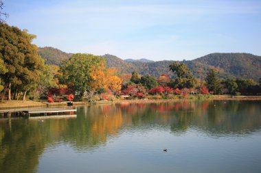 Sonbahar sezonu kyoto, daikakuji