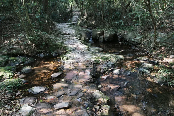 Plover Cove Country Park, Sam A Chung, hong kong —  Fotos de Stock