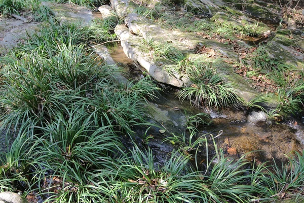 Sieweczka Cove Country Park, Sam A Chung, hong kong — Zdjęcie stockowe