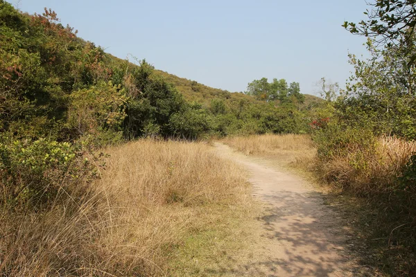 Plover Cove Country Park, Sam A Chung, Hong Kong — Foto Stock