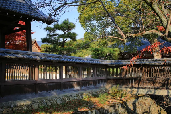 Daikaku-ji, kyoto — Foto Stock