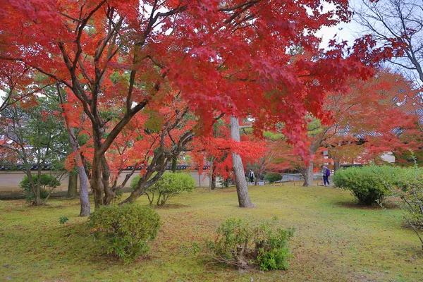 Jardim do Templo Byodo-in em Kyoto, Japão — Fotografia de Stock