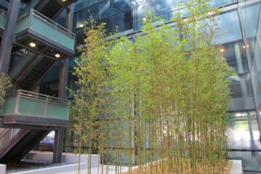 Bambu binasının kapalı