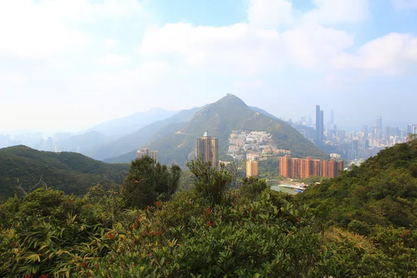 Tai Tam réservoir Country park — Photo