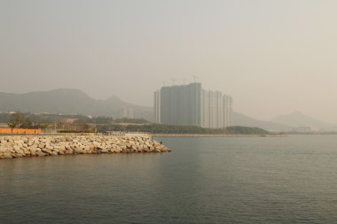 Önemsiz yuva, Tseung Kwan O yuva