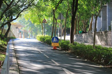 Bahçe içine yürüme yolu