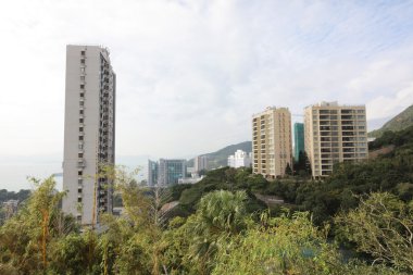 hong kong Üniversitesi