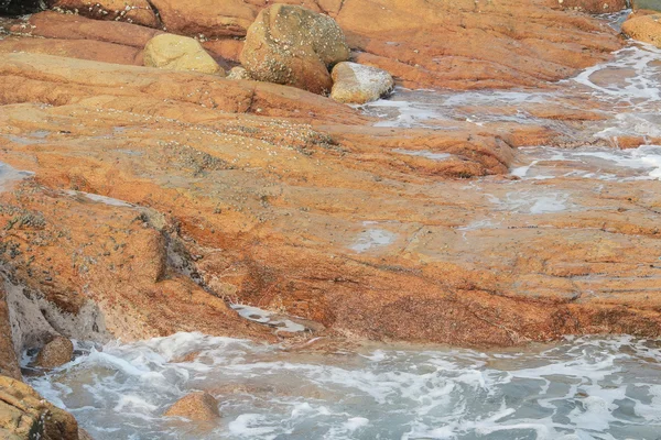 Marco em hongkong Shek O — Fotografia de Stock