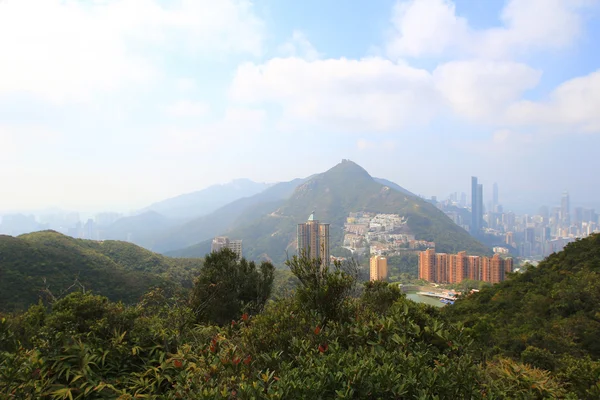 benches, cheung sha wan, cheung sha wan promenade, cityscape, green spaces, hong kong, hong kong island skyline, jogging, Kowloo