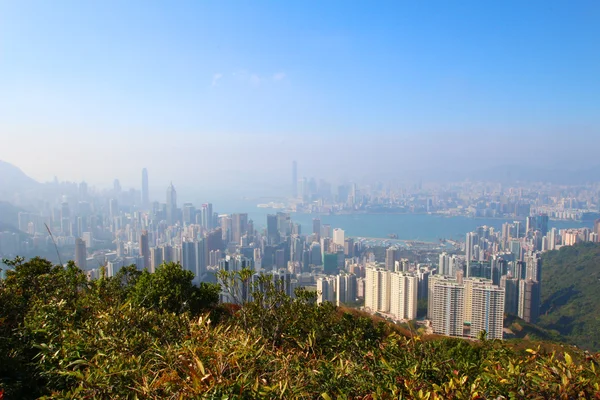 ジャーディン s 目を光らせて Hong Kong — ストック写真