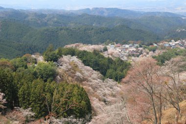  Yoshino Mikumari Tapınak, Yoshinoyama, Nara, Japonya