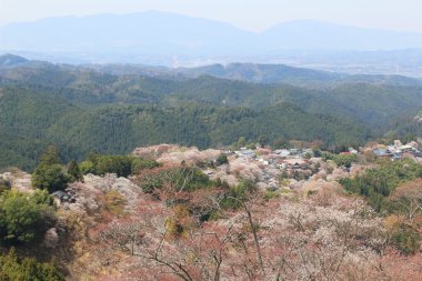  Yoshino Mikumari Tapınak, Yoshinoyama, Nara, Japonya