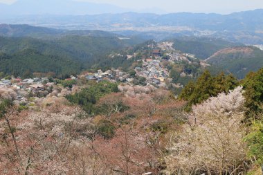 Yoshino Mikumari Tapınak, Yoshinoyama, Nara, Japonya