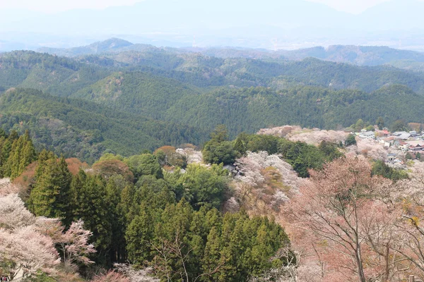 Jošino Mikumari svatyně, Yoshinoyama, Nara, Japonsko — Stock fotografie