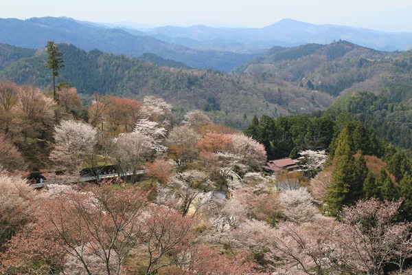 Santuário Yoshino Mikumari, Yoshinoyama, Nara — Fotografia de Stock