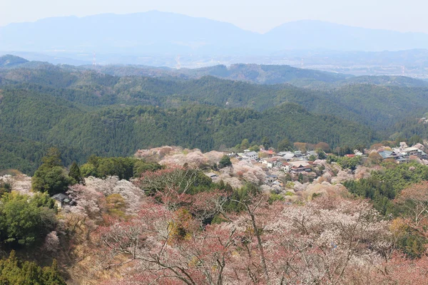 Yoshino Mikumari Shrine, Yoshinoyama, Nara, Japan — Stock Photo, Image