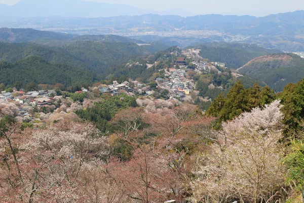吉野水分神社，Yoshinoyama，奈良，日本 — 图库照片