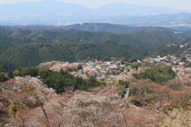 Yoshino Mikumari Tapınak, Yoshinoyama, Nara