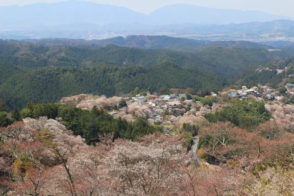 Nara Yoshino Mikumari svatyně, Yoshinoyama, — Stock fotografie