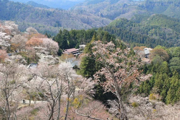 吉野水分神社，Yoshinoyama，奈良 — 图库照片