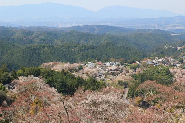 Храм Ёсино Микумари, Ёсинояма, Нара — стоковое фото