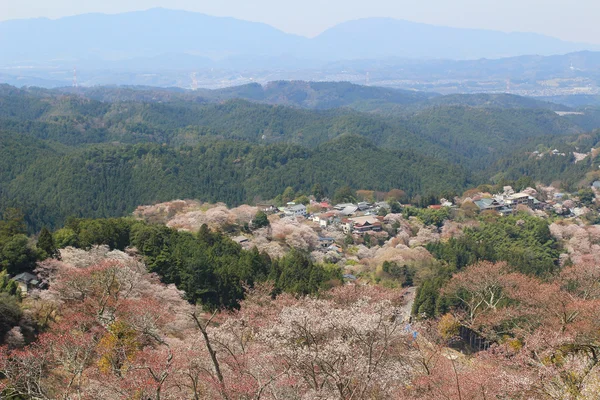 Nara Yoshino Mikumari svatyně, Yoshinoyama, — Stock fotografie