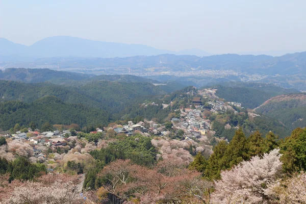 Храм Ёсино Микумари, Ёсинояма, Нара — стоковое фото