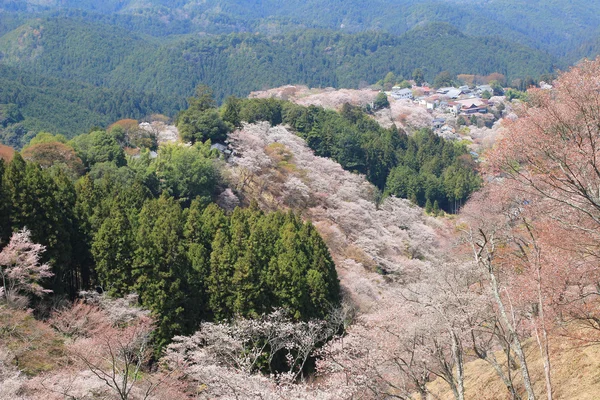 Yoshino Mikumari Shrine, Yoshinoyama, Nara — Stock Photo, Image