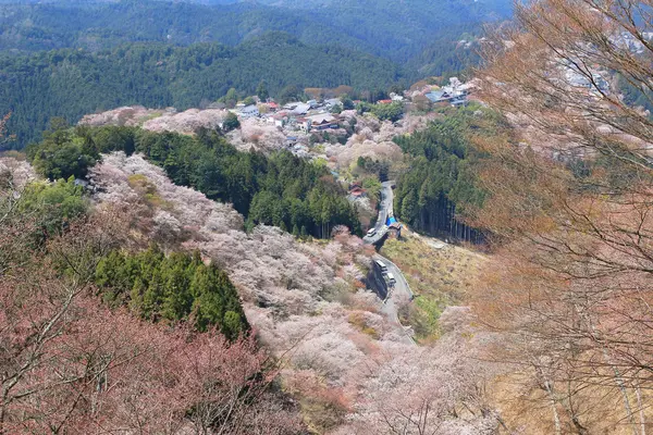 Yoshino Mikumari Tapınak, Yoshinoyama, Nara — Stok fotoğraf