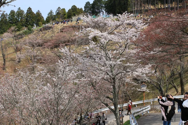 Yoshino mikumari-Schrein, yoshinoyama, nara, japan — Stockfoto