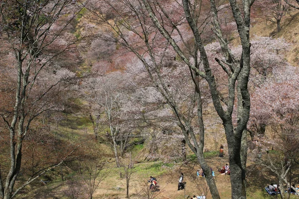 吉野水分神社，Yoshinoyama，奈良, — 图库照片