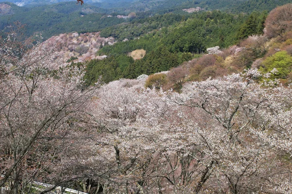 Yoshino Mikumari heiligdom, Yoshinoyama, Nara, Japan — Stockfoto