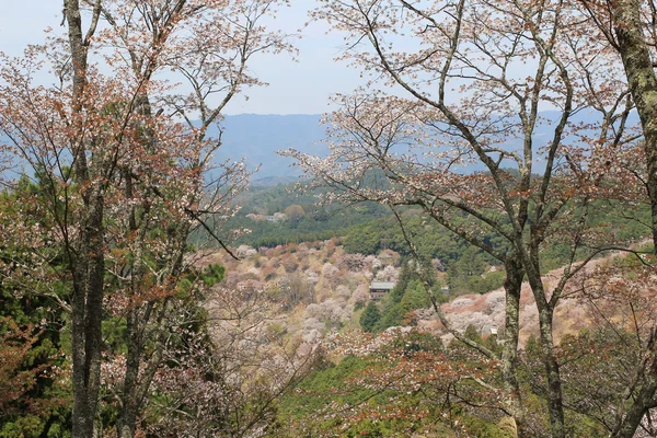 吉野水分神社の吉野山、奈良 — ストック写真