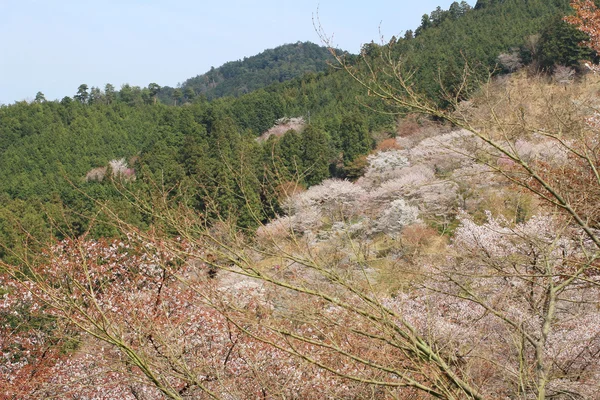 吉野水分神社の吉野山、奈良 — ストック写真